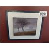 Image 1 : Framed picture "Paisaje De Ocomo"