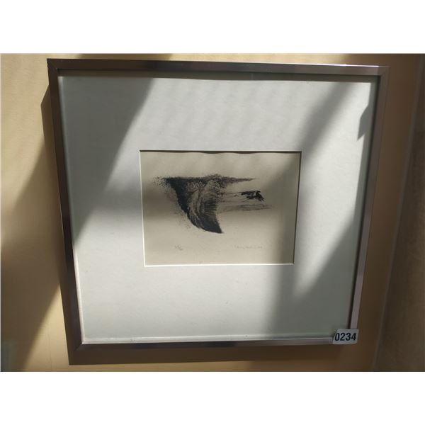 Framed Picture of a Feather