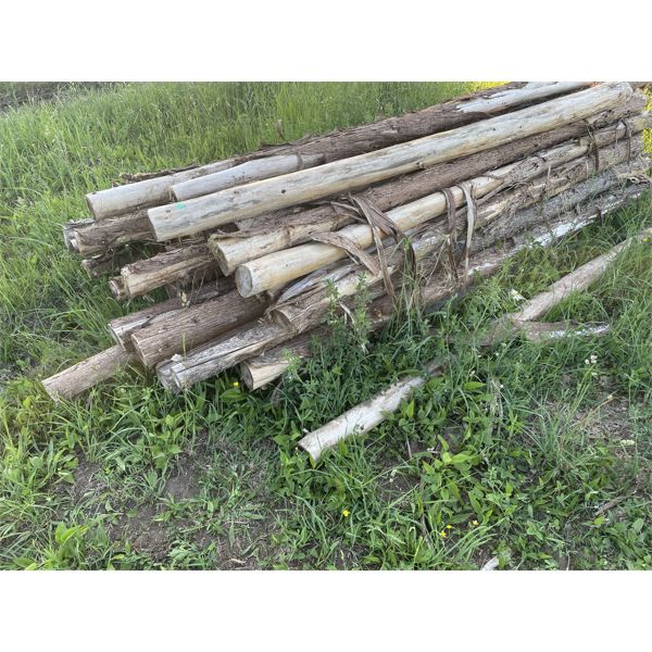 JOB LOT - APPROX 25 CEDAR POSTS - 4" X 7' 