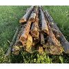 Image 2 : JOB LOT - APPROX 25 CEDAR POSTS - 4" X 7' 