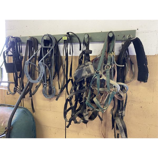 JOB LOT - HORSE TACK & ACCESSORIES