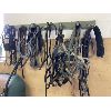 Image 1 : JOB LOT - HORSE TACK & ACCESSORIES