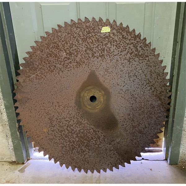 31" SAW BLADE
