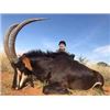 Image 2 : 7 Day Sable Bull or Roan Antelope Safari for 1 Hunter