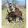 Image 2 : 2 Person/2 Day Eastern Wild Turkey Hunt