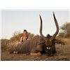 Image 2 : 7-Day Nyala Hunt in South Africa for 2 Hunters