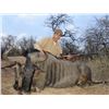Image 1 : 5 - DAY HUNT FOR BLUE WILDEBEEST & IMPALA FOR 3 HUNTERS