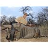 5 - DAY HUNT FOR BLUE WILDEBEEST & IMPALA FOR 3 HUNTERS