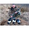 Image 2 : 5 - DAY/5-NIGHT KODIAK SITKA BLACK-TAILED DEER AND SEA DUCK COMBO HUNT FOR 1 HUNTER