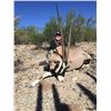 Image 2 : 4 -DAY GEMSBOK HUNT IN SONORA, MEXICO FOR 1 HUNTER