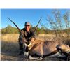 Image 3 : 4 -DAY GEMSBOK HUNT IN SONORA, MEXICO FOR 1 HUNTER