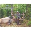 Image 2 : 6 - DAY RIFLE ONLY HUNT FOR ELK IN MONTANA FOR 1 HUNTER JACK CREEK PRESERVE FOUNDATION