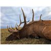 Image 10 : NEBRASKA GAME AND PARKS 2022 ELK