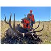 Image 1 : NEBRASKA GAME AND PARKS 2022 ELK