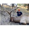 Image 3 : NEBRASKA GAME AND PARKS 2022 ELK