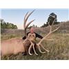 Image 4 : NEBRASKA GAME AND PARKS 2022 ELK