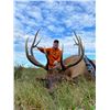 Image 5 : NEBRASKA GAME AND PARKS 2022 ELK