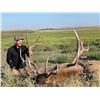 Image 7 : NEBRASKA GAME AND PARKS 2022 ELK