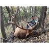 Image 8 : NEBRASKA GAME AND PARKS 2022 ELK