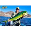 Image 2 : 4 - DAY/3-NIGHT EL CARMEN ISLAND FISHING VACATION FOR 4 ANGLERS