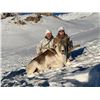 Image 2 : 7 - DAY MARCO POLO HUNT FOR 1 HUNTER IN TAJIKISTAN