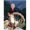 Image 2 : 7 - DAY ANATOLIAN (BEZOAR) IBEX HUNT IN TURKEY FOR 1 HUNTER