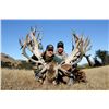 Image 2 : 5 - DAY NEW ZEALAND RED STAG HUNT FOR 2 HUNTERS SCORING UP TO 420” SCI