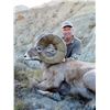 Image 8 : STATE OF MONTANA BIGHORN SHEEP LICENSE