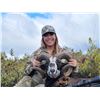 Image 2 : 2 - DAY HUNT FOR HYBRID EUROPEAN MOUFLON/HAWAIIAN SHEEP FOR 1HUNTER AND 1 DAY DEEP SEA FISHING FOR U