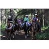 Image 2 : 6 - NIGHT ALL INCLUSIVE VACATION ON THE 7D RANCH IN WYOMING WILDERNESS FOR 2 PEOPLE