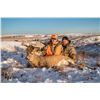 5 - DAY ARCHERY ONLY WHITETAIL DEER HUNT IN NEBRASKA FOR 1 HUNTERAND 1 NON-HUNTER