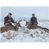 Image 3 : 5 - DAY ARCHERY ONLY WHITETAIL DEER HUNT IN NEBRASKA FOR 1 HUNTERAND 1 NON-HUNTER