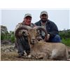 Image 4 : 2 HUNTERS FOR SAAM™ PRECISION & SAFARI HUNT COMBO AND $3000 TOWARD TROPHY FEES FOR EACH HUNTER
