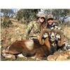Image 8 : 10 - DAY MULTIPLE SPECIES COMBINATION HUNT FOR 1 HUNTER AND 1 NON-HUNTER ($10,500 CREDIT FOR DAILY R