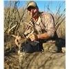 Image 8 : 5 - DAY COUES DEER HUNT FOR 1 HUNTER IN ARIZONA