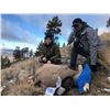 Image 2 : 6th ANNUAL WILD SHEEP JURASSIC CLASSIC STURGEON FISHING TOURNAMENT • 2 - DAY TRIP FOR 2 ANGLERS JURA