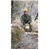 Image 2 : 4 - DAY MULE DEER HUNT FOR 2 HUNTERS