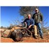 Image 2 : 7 - DAY CAPE BUFFALO HUNT FOR 1 HUNTER ($5,000 credit towards trophy fees)