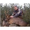 Image 2 : 5 - DAY ROE DEER RIFLE HUNT FOR 2 HUNTERS & 3-DAY SIGHTSEEING TOUR FOR 2 NON-HUNTERS (Hunter can dec