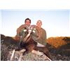 Image 2 : 4 - DAY HUNT FOR 2 HUNTERS IN SPAIN INCLUDING 2 MOUFLON SHEEP,OR 2 RED STAG OR 2 ROE DEER