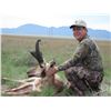 Image 2 : NEW MEXICO BIG GAME ENHANCEMENT PACKAGE