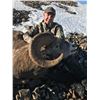 10 - DAY BIGHORN SHEEP HORSEBACK HUNT IN ALBERTA FOR 1 HUNTER