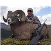 Image 8 : 10 - DAY BIGHORN SHEEP HORSEBACK HUNT IN ALBERTA FOR 1 HUNTER
