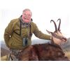 3 - DAY FREE RANGE BALKAN CHAMOIS OR EUROPEAN GRAY WOLF HUNT INMACEDONA FOR 1 HUNTER