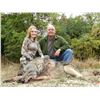 Image 2 : 3 - DAY FREE RANGE BALKAN CHAMOIS OR EUROPEAN GRAY WOLF HUNT INMACEDONA FOR 1 HUNTER