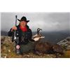 Image 3 : 3 - DAY FREE RANGE BALKAN CHAMOIS OR EUROPEAN GRAY WOLF HUNT INMACEDONA FOR 1 HUNTER