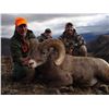 Image 2 : WYOMING ROCKY MOUNTAIN BIGHORN SHEEP LICENSE