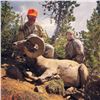 Image 4 : WYOMING ROCKY MOUNTAIN BIGHORN SHEEP LICENSE