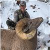 Image 5 : WYOMING ROCKY MOUNTAIN BIGHORN SHEEP LICENSE
