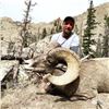 Image 7 : WYOMING ROCKY MOUNTAIN BIGHORN SHEEP LICENSE